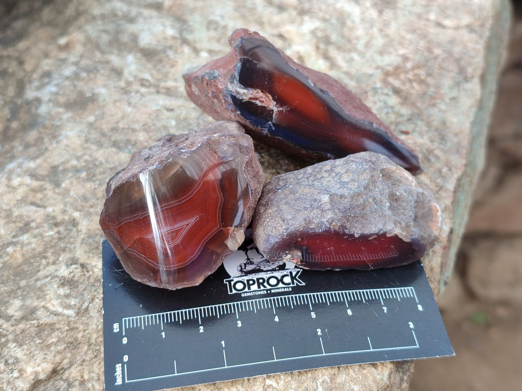Polished On One Side Red Sashe River Agate Nodules x 24 From Zimbabwe - Toprock Gemstones and Minerals 