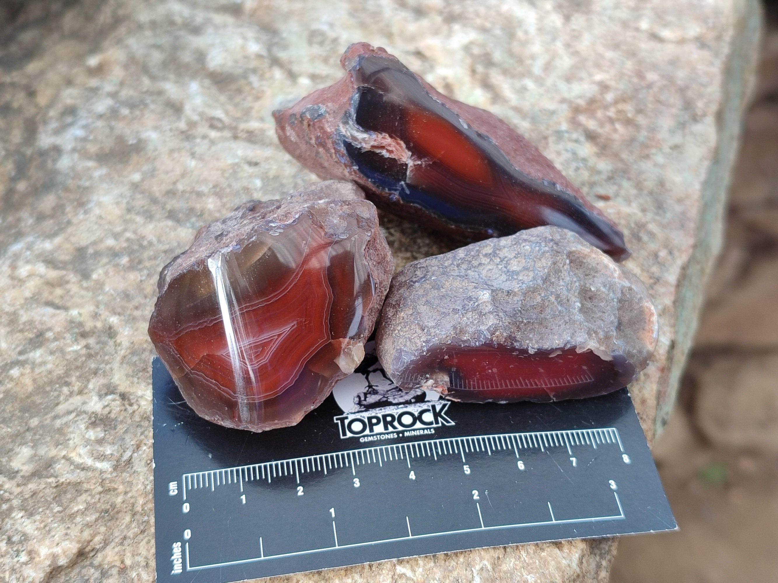 Polished On One Side Red Sashe River Agate Nodules x 24 From Zimbabwe - Toprock Gemstones and Minerals 
