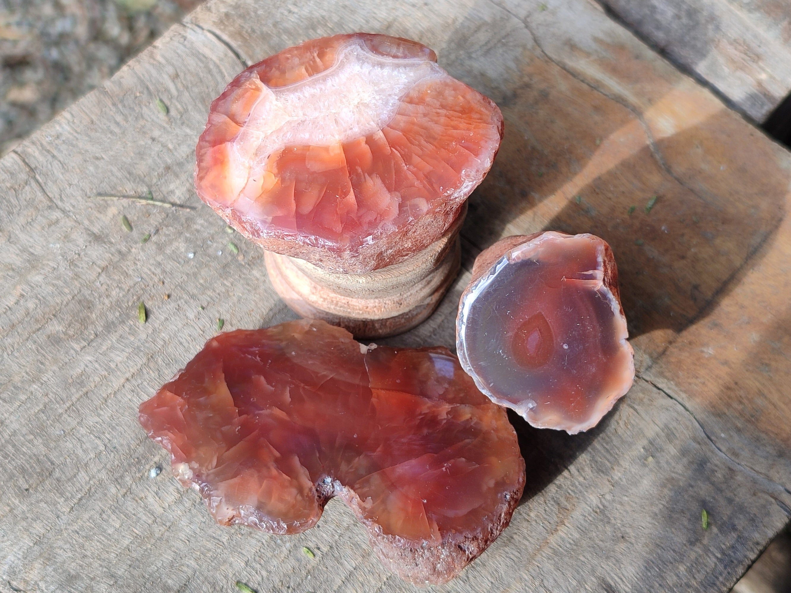 Polished On One Side Red Sashe River Agate Nodules x 24 From Zimbabwe - Toprock Gemstones and Minerals 