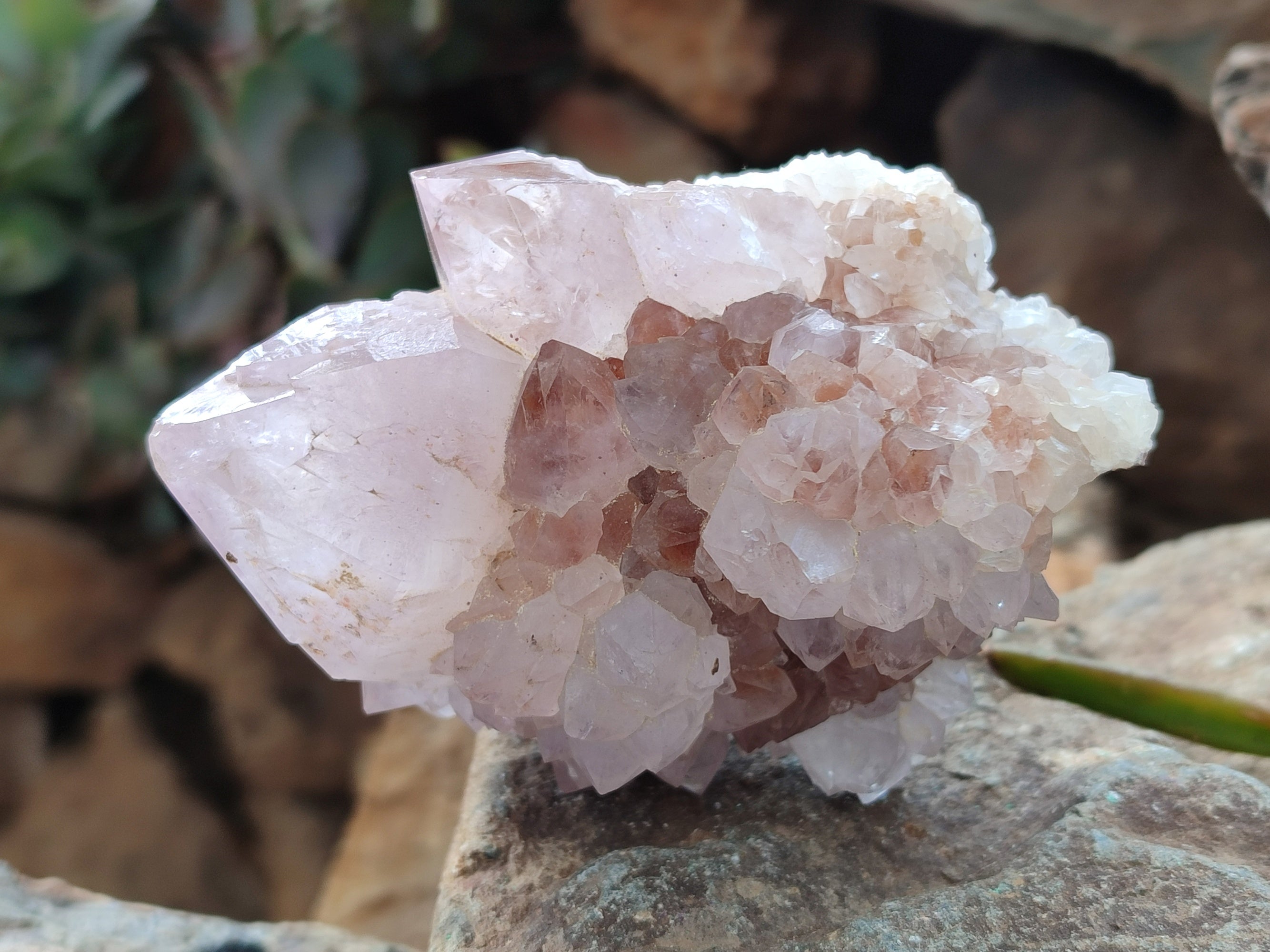 Natural Light Amethyst Spirit Quartz Clusters x 4 From Boekenhouthoek, South Africa - Toprock Gemstones and Minerals 