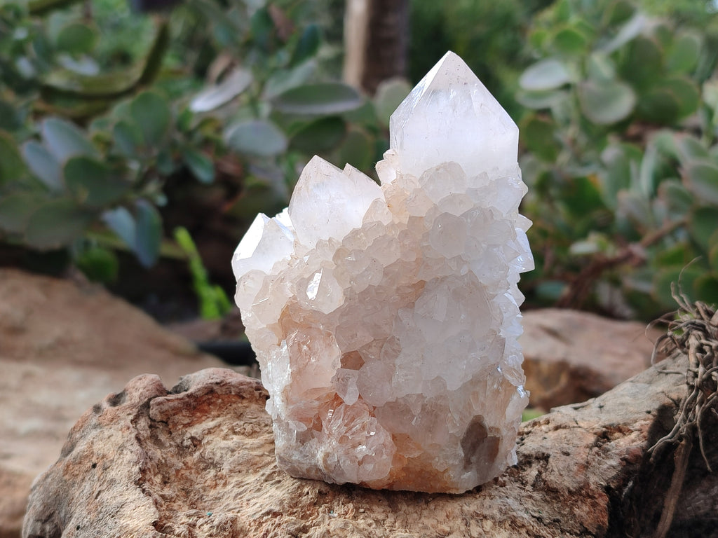 Natural Light Amethyst Spirit Quartz Clusters x 4 From Boekenhouthoek, South Africa - Toprock Gemstones and Minerals 