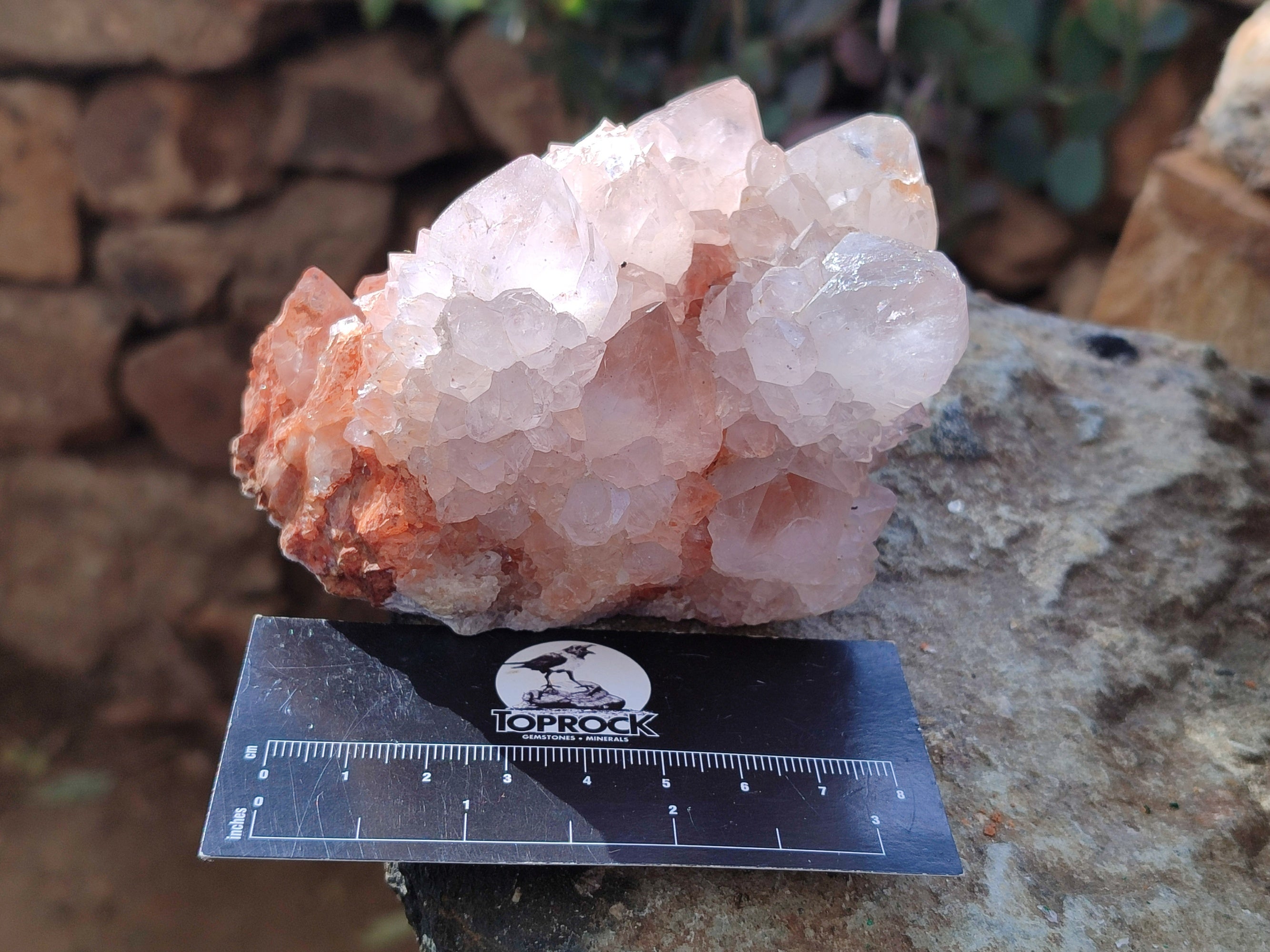 Natural Light Amethyst Spirit Quartz Clusters x 4 From Boekenhouthoek, South Africa - Toprock Gemstones and Minerals 