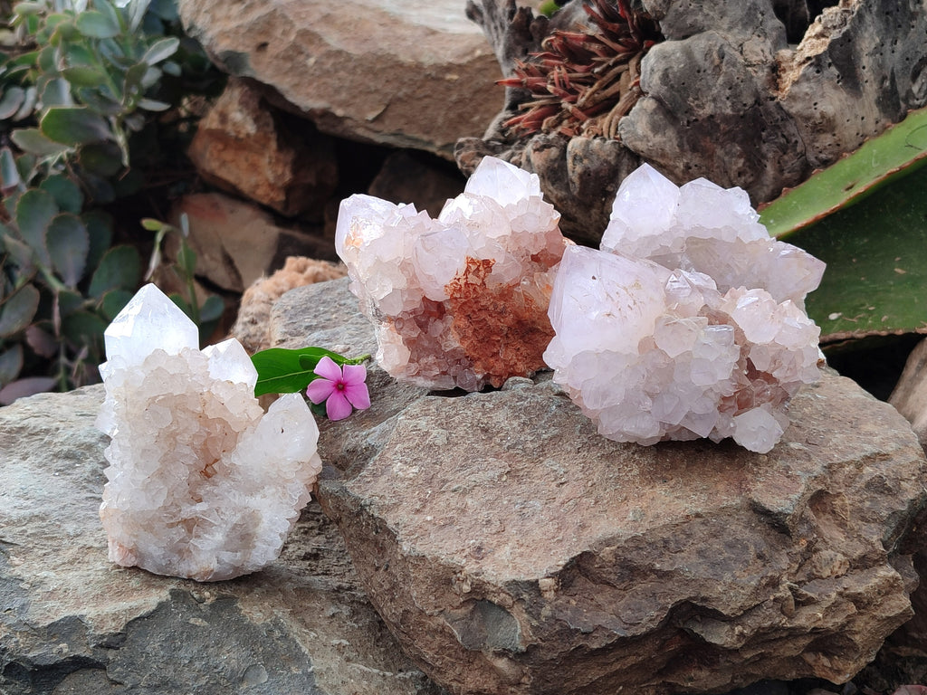Natural Light Amethyst Spirit Quartz Clusters x 4 From Boekenhouthoek, South Africa - Toprock Gemstones and Minerals 