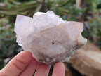 Natural Light Amethyst Spirit Quartz Clusters x 4 From Boekenhouthoek, South Africa - Toprock Gemstones and Minerals 