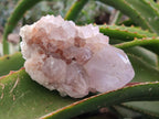 Natural Light Amethyst Spirit Quartz Clusters x 4 From Boekenhouthoek, South Africa - Toprock Gemstones and Minerals 