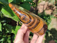 Polished Golden River Tigers Eye Standing Free Forms x 2 From Prieska, South Africa