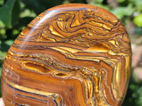 Polished Golden River Tigers Eye Standing Free Forms x 2 From Prieska, South Africa