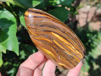 Polished Golden River Tigers Eye Standing Free Forms x 2 From Prieska, South Africa