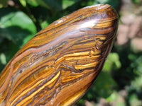 Polished Golden River Tigers Eye Standing Free Forms x 2 From Prieska, South Africa