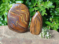 Polished Golden River Tigers Eye Standing Free Forms x 2 From Prieska, South Africa