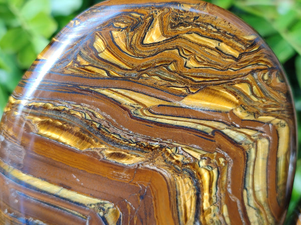 Polished Golden River Tigers Eye Standing Free Forms x 2 From Prieska, South Africa