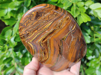 Polished Golden River Tigers Eye Standing Free Forms x 2 From Prieska, South Africa