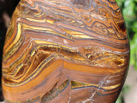 Polished Golden River Tigers Eye Standing Free Forms x 2 From Prieska, South Africa