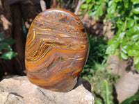 Polished Golden River Tigers Eye Standing Free Forms x 2 From Prieska, South Africa
