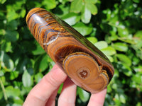 Polished Golden River Tigers Eye Standing Free Forms x 2 From Prieska, South Africa