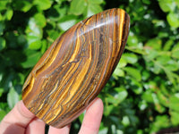 Polished Golden River Tigers Eye Standing Free Forms x 2 From Prieska, South Africa