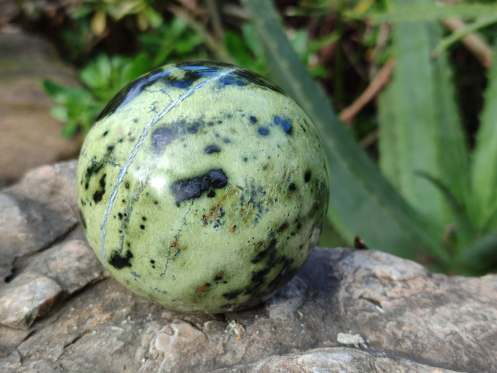 Polished Leopard Stone Spheres x 3 From Nyanga, Zimbabwe - Toprock Gemstones and Minerals 