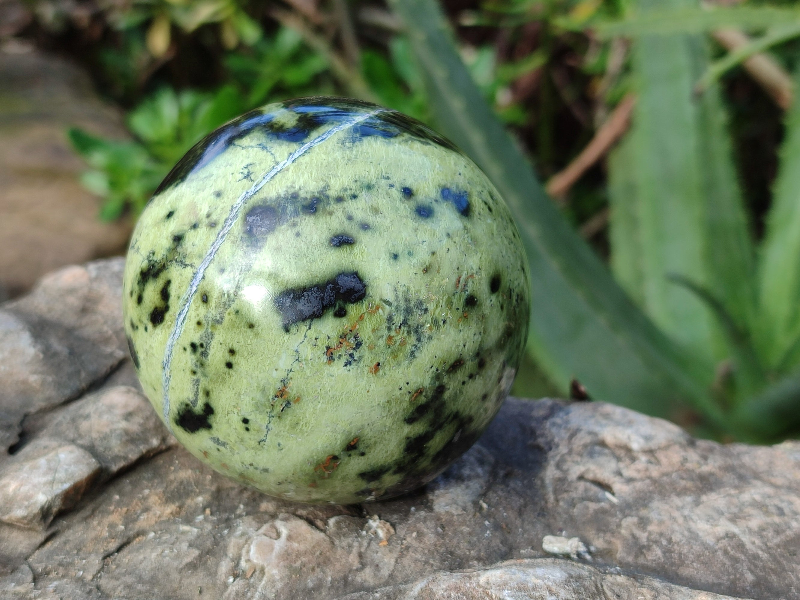 Polished Leopard Stone Spheres x 3 From Nyanga, Zimbabwe - Toprock Gemstones and Minerals 