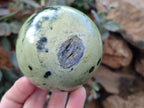 Polished Leopard Stone Spheres x 3 From Nyanga, Zimbabwe - Toprock Gemstones and Minerals 