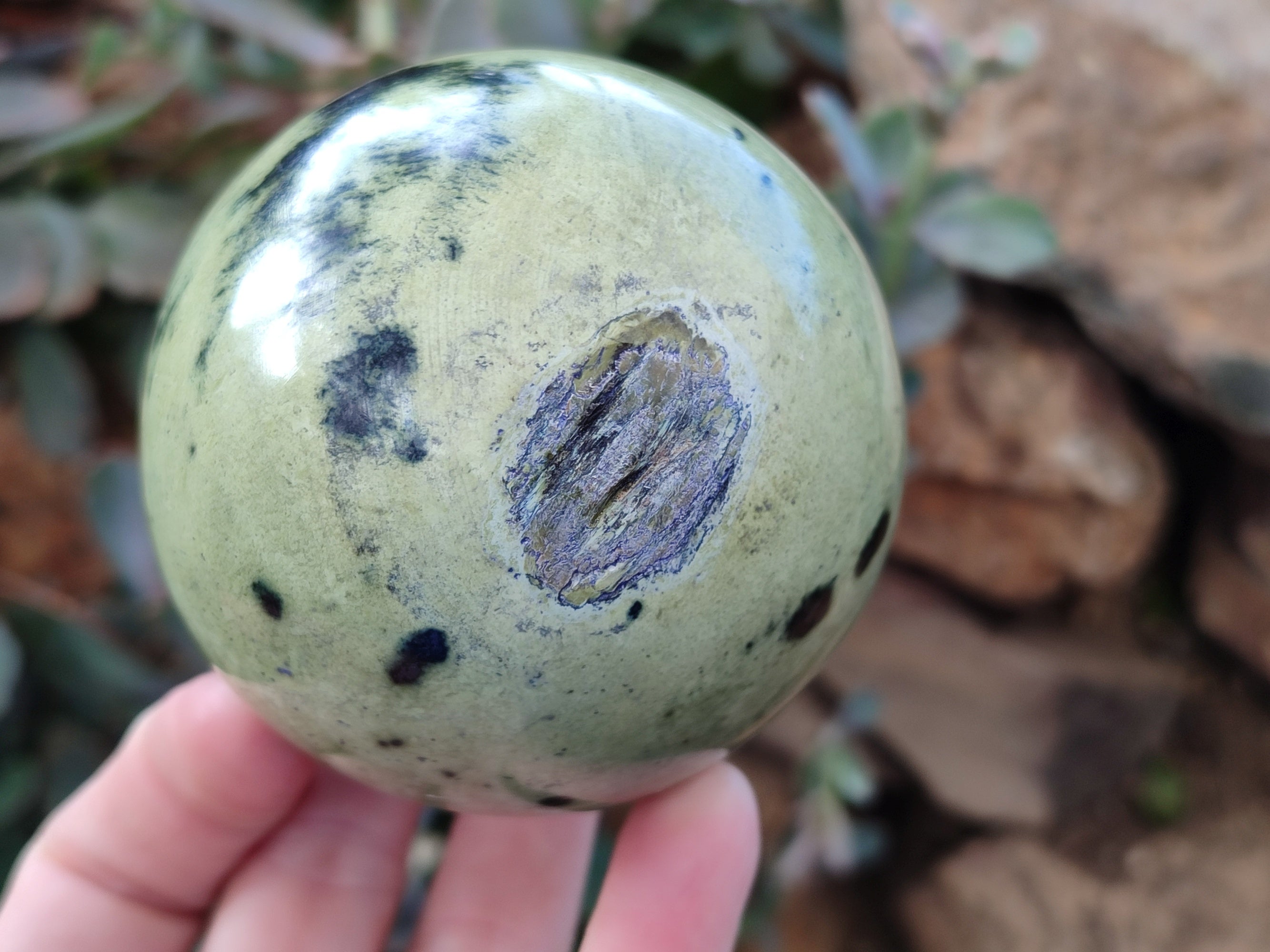 Polished Leopard Stone Spheres x 3 From Nyanga, Zimbabwe - Toprock Gemstones and Minerals 