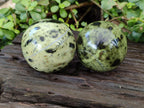 Polished Leopard Stone Spheres x 3 From Nyanga, Zimbabwe - Toprock Gemstones and Minerals 