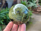 Polished Leopard Stone Spheres x 3 From Nyanga, Zimbabwe - Toprock Gemstones and Minerals 