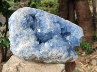 Natural Extra Large Celestite Geode Specimen x 1 From Sakoany, Madagascar - Toprock Gemstones and Minerals 