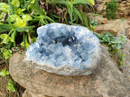 Natural Extra Large Celestite Geode Specimen x 1 From Sakoany, Madagascar - Toprock Gemstones and Minerals 