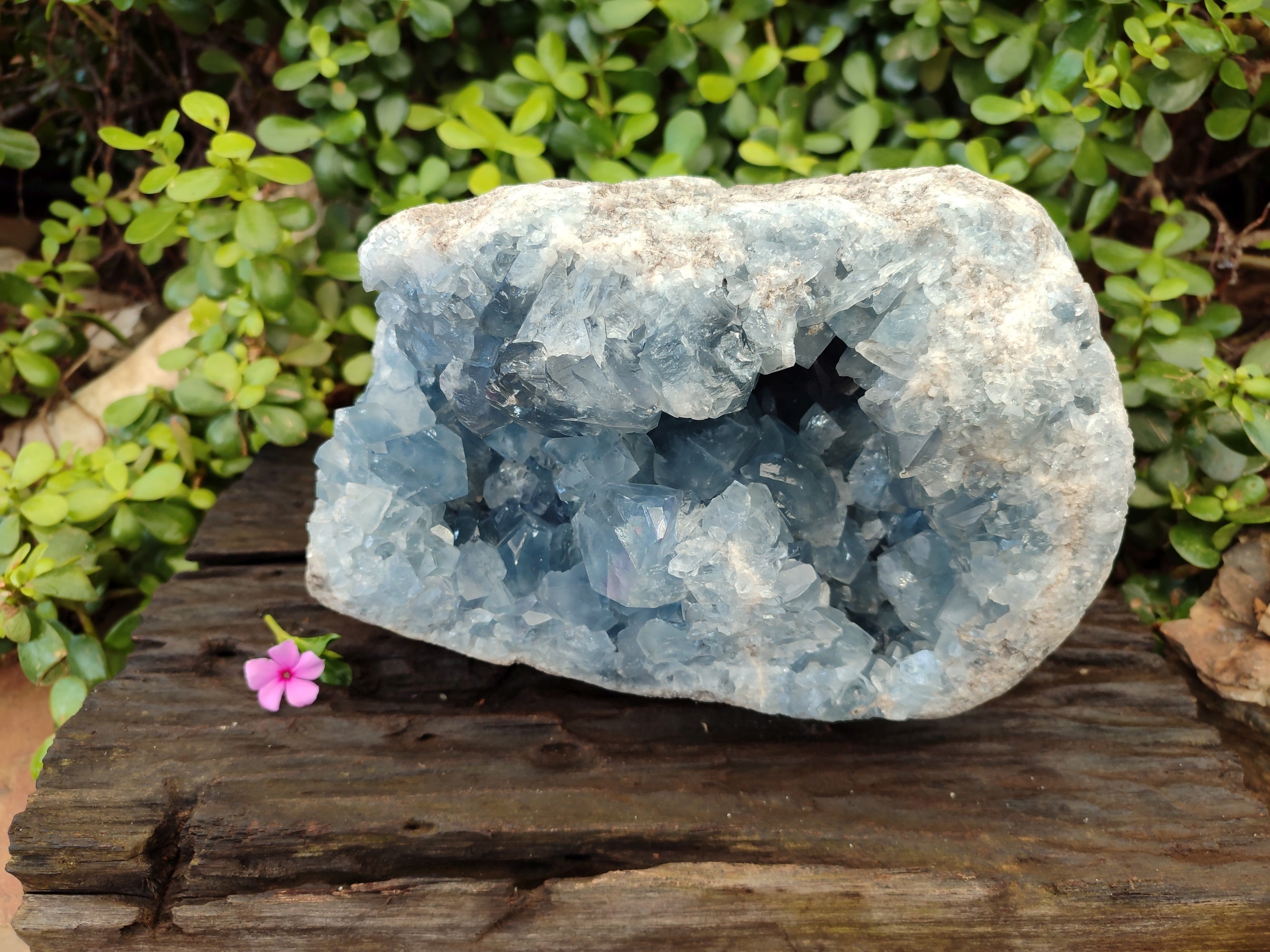 Natural Extra Large Celestite Geode Specimen x 1 From Sakoany, Madagascar - Toprock Gemstones and Minerals 