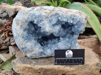 Natural Extra Large Celestite Geode Specimen x 1 From Sakoany, Madagascar - Toprock Gemstones and Minerals 
