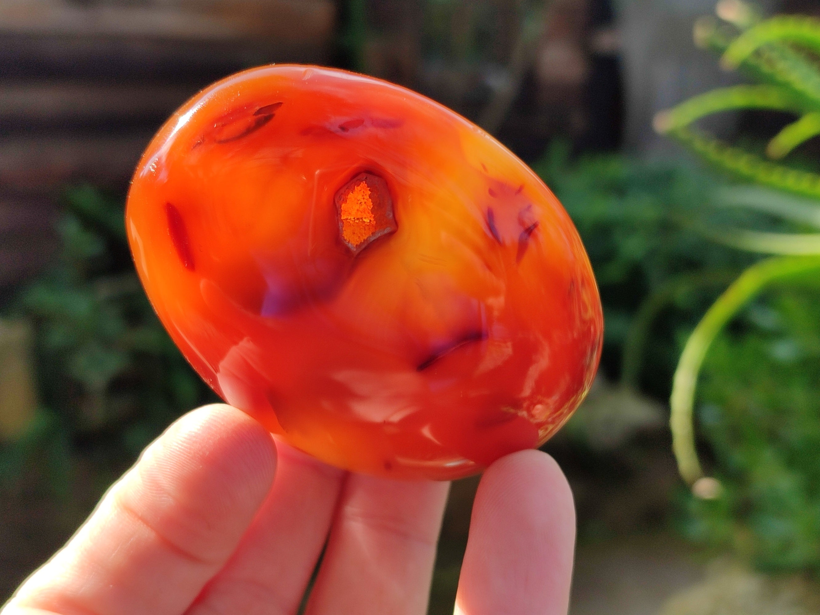 Polished Mix Of Selected Palm Stones x 12 From Madagascar - Toprock Gemstones and Minerals 