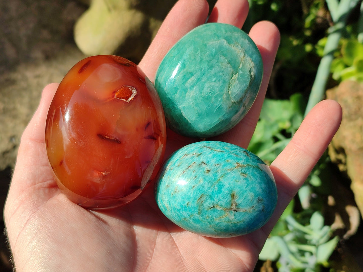 Polished Mix Of Selected Palm Stones x 12 From Madagascar - Toprock Gemstones and Minerals 