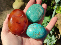 Polished Mix Of Selected Palm Stones x 12 From Madagascar