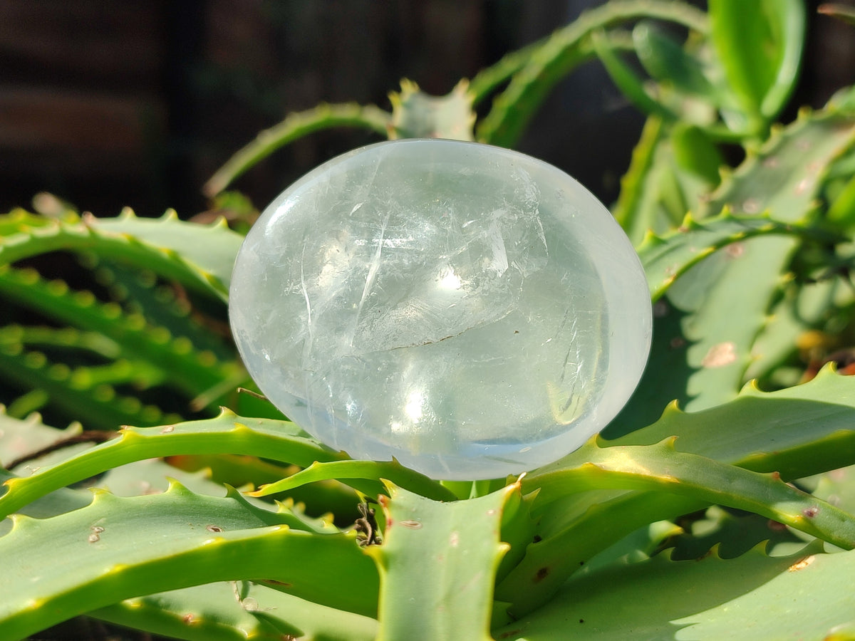Polished Mix Of Selected Palm Stones x 12 From Madagascar - Toprock Gemstones and Minerals 