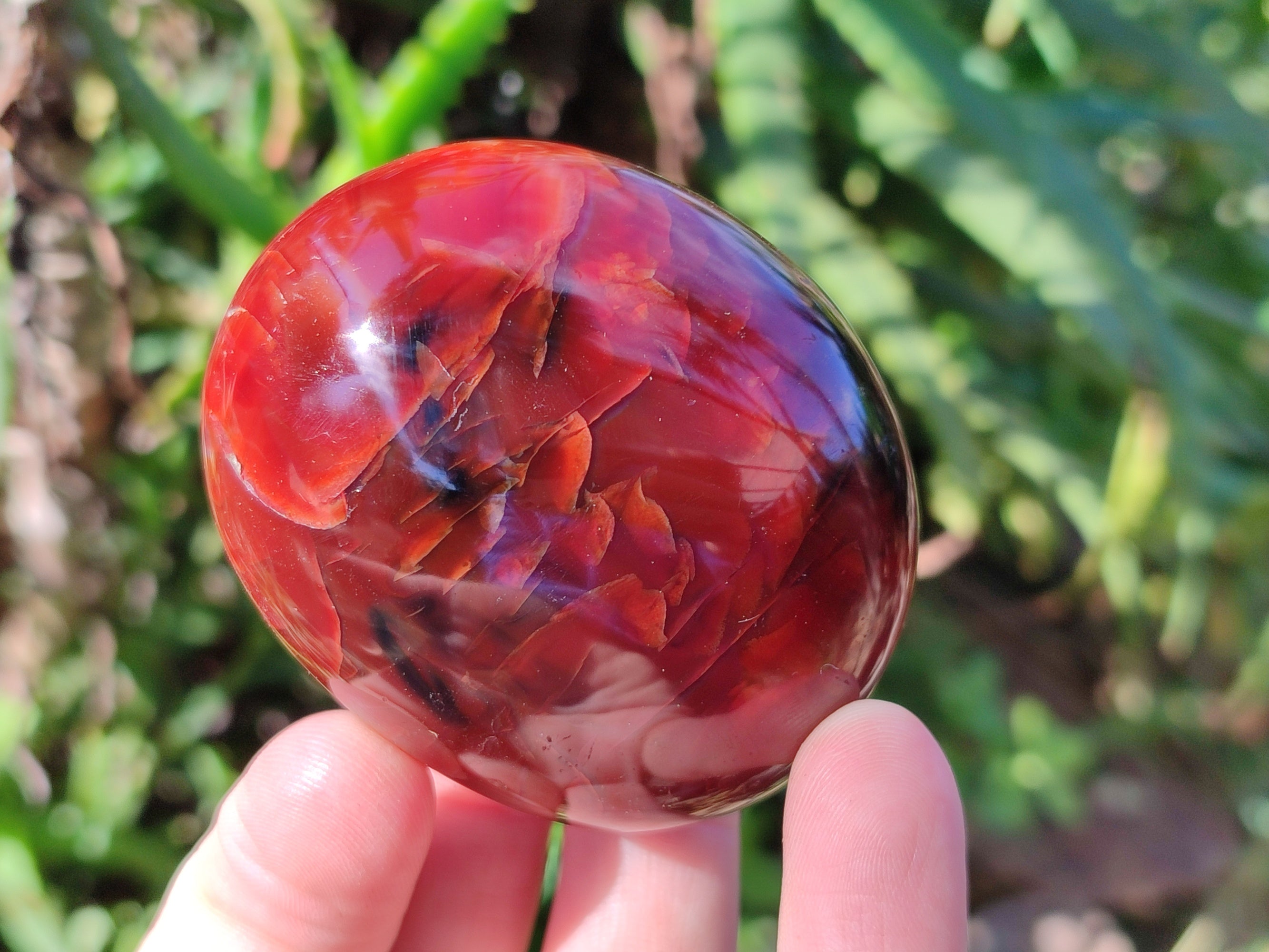 Polished Mix Of Selected Palm Stones x 12 From Madagascar - Toprock Gemstones and Minerals 