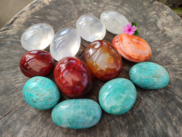 Polished Mix Of Selected Palm Stones x 12 From Madagascar