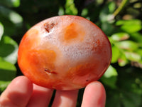 Polished Mix Of Selected Palm Stones x 12 From Madagascar