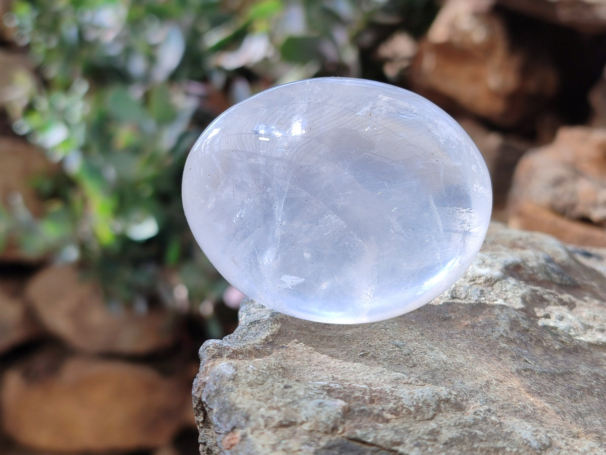 Polished Mix Of Selected Palm Stones x 12 From Madagascar - Toprock Gemstones and Minerals 