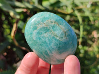 Polished Mix Of Selected Palm Stones x 12 From Madagascar