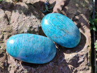 Polished Mix Of Selected Palm Stones x 12 From Madagascar