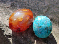 Polished Mix Of Selected Palm Stones x 12 From Madagascar