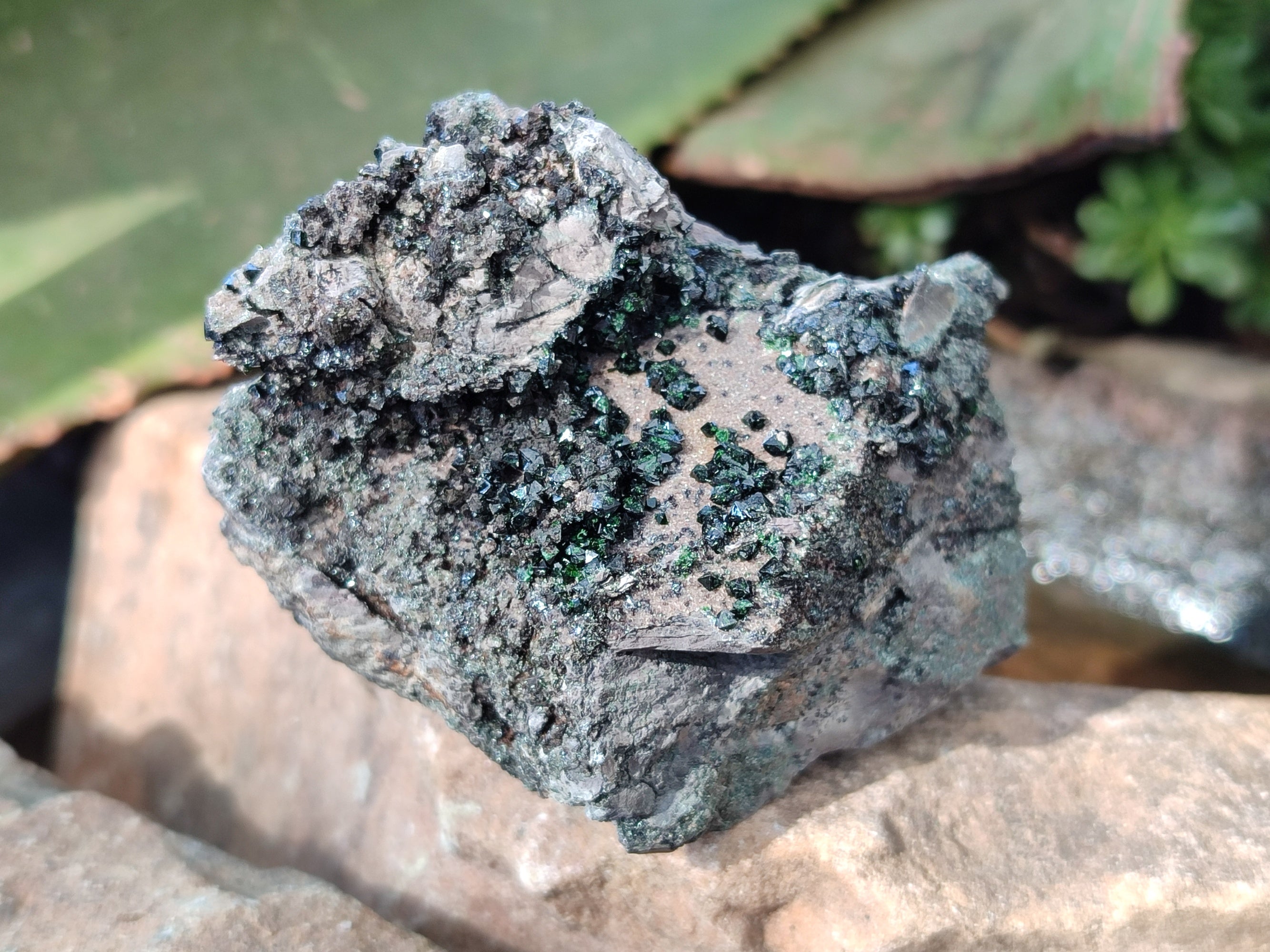 Natural Libethenite Crystals On Dolomite Matrix Specimens x 6 From Shituru, Congo - Toprock Gemstones and Minerals 