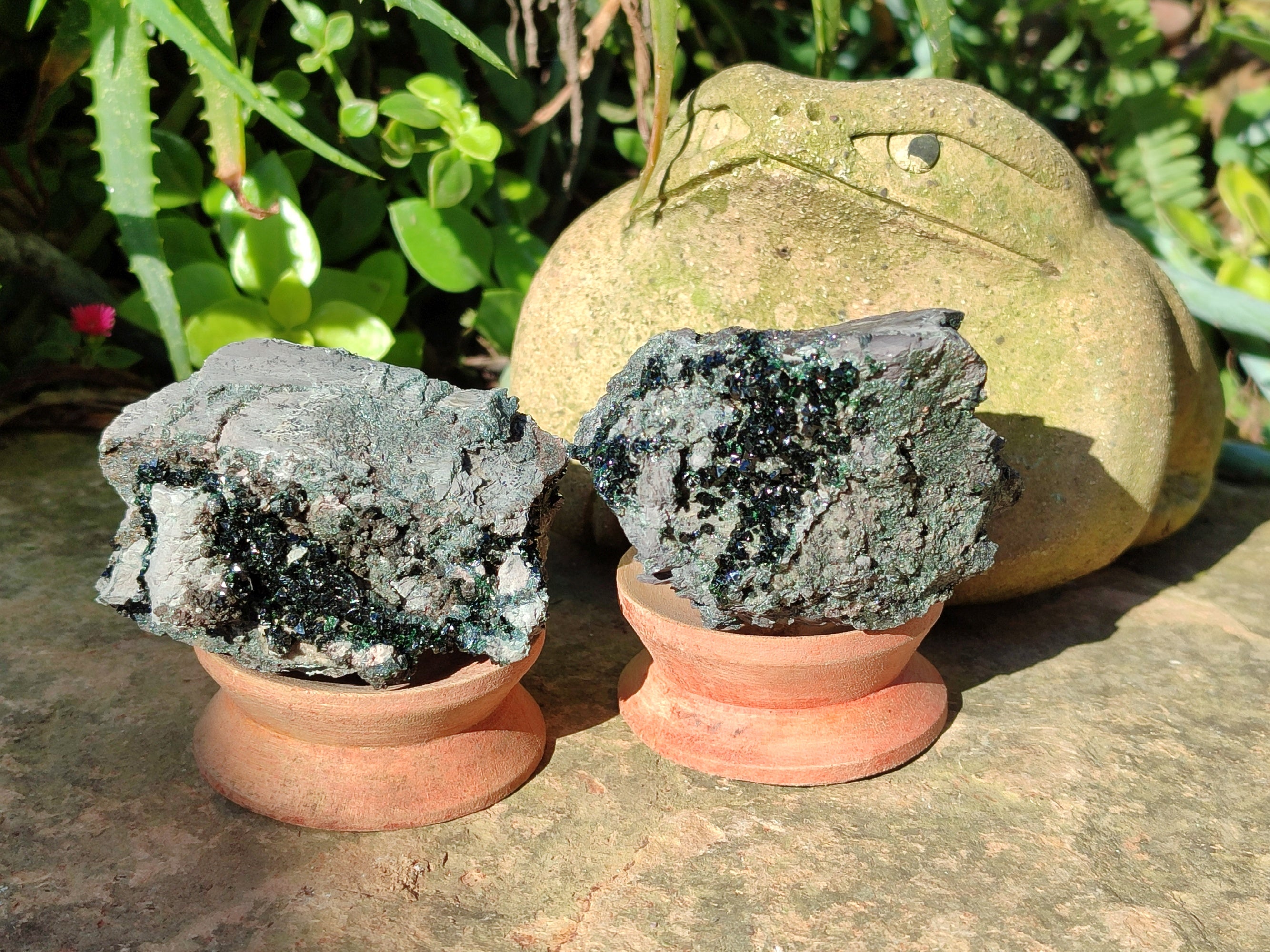Natural Libethenite Crystals On Dolomite Matrix Specimens x 6 From Shituru, Congo - Toprock Gemstones and Minerals 