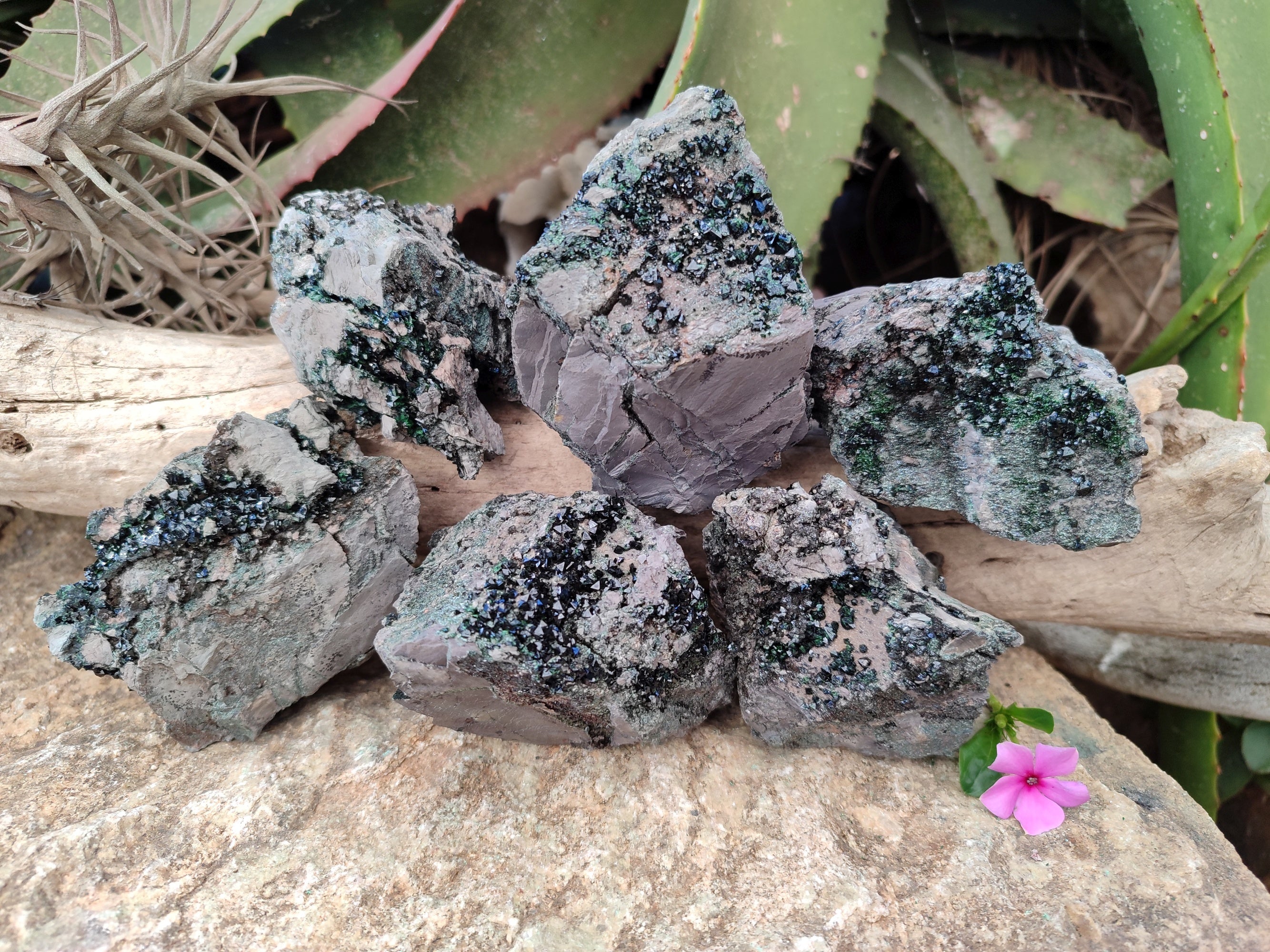 Natural Libethenite Crystals On Dolomite Matrix Specimens x 6 From Shituru, Congo - Toprock Gemstones and Minerals 
