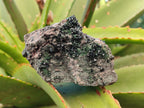 Natural Libethenite Crystals On Dolomite Matrix Specimens x 6 From Shituru, Congo - Toprock Gemstones and Minerals 