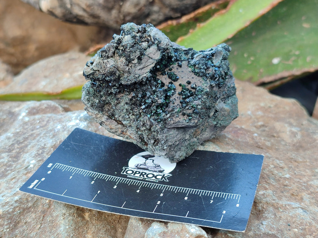 Natural Libethenite Crystals On Dolomite Matrix Specimens x 6 From Shituru, Congo - Toprock Gemstones and Minerals 