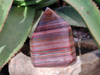 Polished Banded Tiger Iron Points x 2 From Northern Cape, South Africa - Toprock Gemstones and Minerals 
