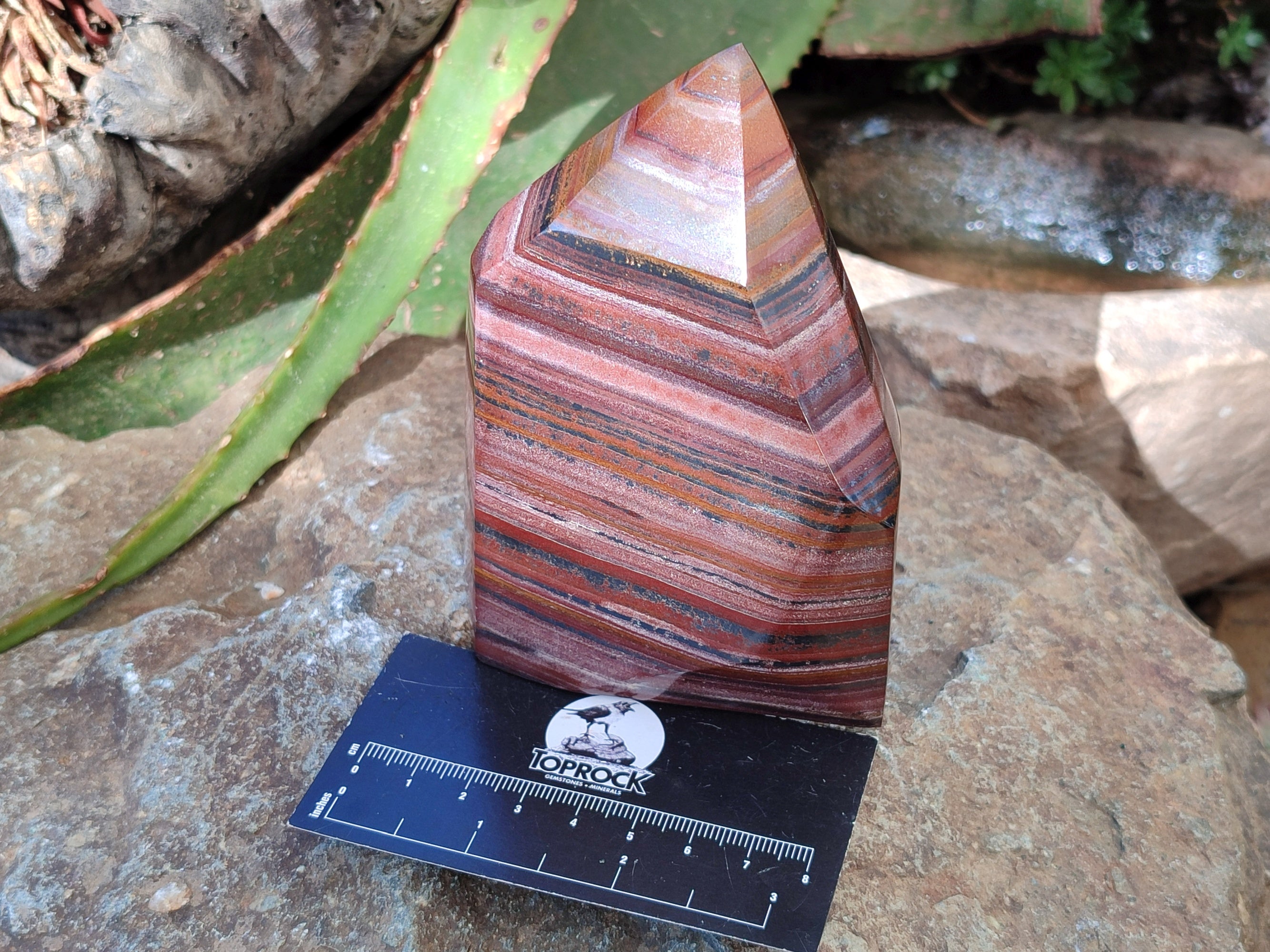 Polished Banded Tiger Iron Points x 2 From Northern Cape, South Africa - Toprock Gemstones and Minerals 