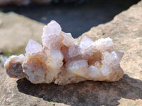 Natural Amethyst Spirit Quartz Clusters x 12 From Boekenhouthoek, South Africa - Toprock Gemstones and Minerals 