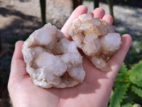 Natural Amethyst Spirit Quartz Clusters x 12 From Boekenhouthoek, South Africa - Toprock Gemstones and Minerals 